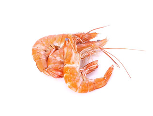 some shrimps isolate on  white background
