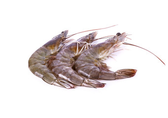 Fresh shrimp isolated on white background.