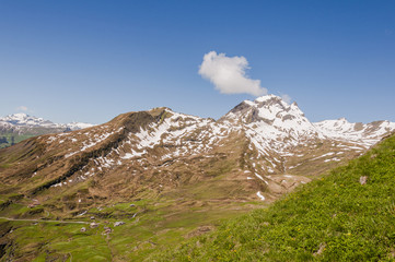 Fototapeta na wymiar Grindelwald, Alpen, Berner Oberland, Schweizer Berge, Waldspitz, First, Alm, Wanderweg, Wanderferien, Sommer, Schweiz