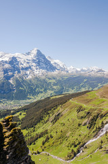Fototapeta na wymiar Grindelwald, Dorf, Berner Oberland, Alpen, Schweizer Berge, First, Wanderweg, Waldspitz, Eiger, Eigernordwand, Mönch, Jungfrau, Sommer, Schweiz