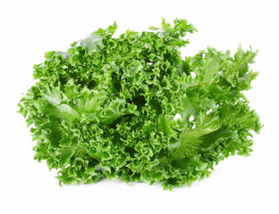 Fresh green lettuce isolated on a white background