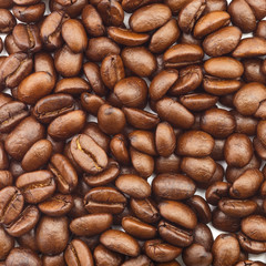 Roasted coffee beans