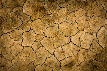 cracked earth surface