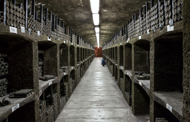 Large wine-cellar with racks dusty bottles of aged wine.