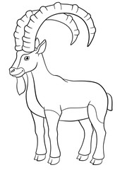 Coloring pages. Cute ibex with great horns.