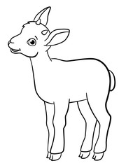 Coloring pages. Little cute baby ibex smiles.