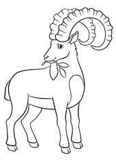 Coloring pages. Cute ibex with great horns.
