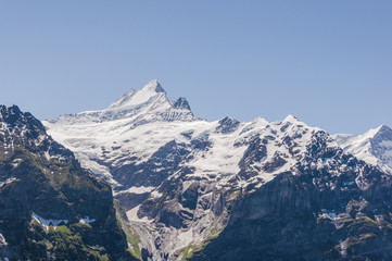 Fototapeta na wymiar Grindelwald, Alpen, Berner Oberland, Schreckhorn, Grindelwaldgletscher, Schweizer Berge, Sommer, Schweiz