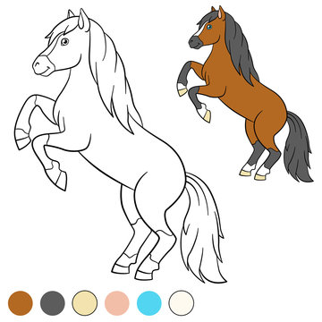 Coloring page. Color me: horse. Beautiful horse.