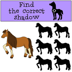 Children games: Find the correct shadow. Cute horse.
