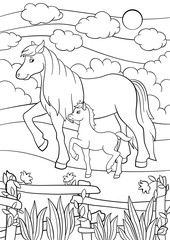 Fototapeta na wymiar Coloring pages. Farm animals. Mother horse with foal.