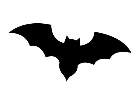 Bat black silhouette icon over white background, vector illustration.