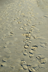 Footprint in beach sand