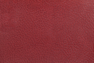 Bright red leather texture background. Closeup photo.