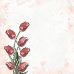 Red tulips on abstract background drawing for congratulation