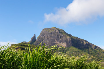 Bergkette auf Mauritius mit Zuckerrohrfeld