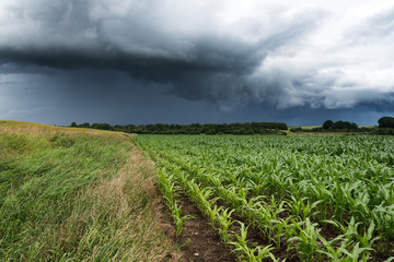 Field and cluds. © Janis Smits