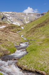 Grindelwald, Berner Oberland, First, Alpen, Wanderweg, Höhenweg, Grosse Scheidegg, Schwarzhorn, Oberjoch, Bergbach, Schweizer Berge, Sommer, Schweiz