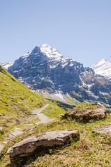 Fototapeta na wymiar Grindelwald, Berner Oberland, Wetterhorn, Alpen, Höhenweg, Schreckfeld, Wanderweg, Schweizer Berge, Sommer, Schweiz