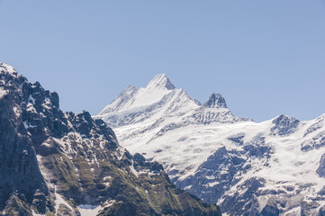 Grindelwald, Berner Oberland, Alpen, Schreckhorn, Wetterhorn, Schweizer Berge, Wanderferien, Sommer, Schweiz