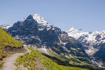 Fototapeta na wymiar Grindelwald, Berner Oberland, Alpen, Wetterhorn, Grosse Scheidegg, Schreckhorn, Wanderweg, Höhenweg, Sommer, Schweiz