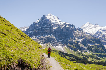 Fototapeta na wymiar Grindelwald, Berner Oberland, Alpen, Wetterhorn, Grosse Scheidegg, Wanderer, Höhenweg, Schreckhorn, Sommer, Schweiz