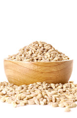 pearls barley grain seed on background