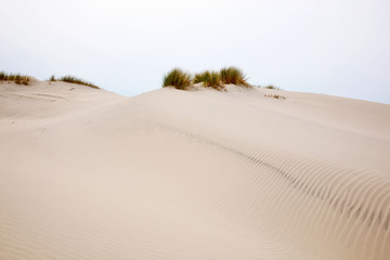Fototapeta na wymiar Rolling sand dune