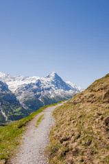 Fototapeta na wymiar Grindelwald, Berner Oberland, Eiger, Eigernordwand, Alpen, First, Wanderweg, Höhenweg, Schweizer Berge, Sommer, Schweiz