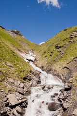 Grindelwald, Berner Oberland, First, Schwarzhorn, Höhenweg, Wanderweg, Bergbach, Grosse Scheidegg, Wanderferien, Alpen, Schweizer Berge, Sommer, Schweizer