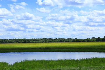 summer landscape with lake in field and clouds