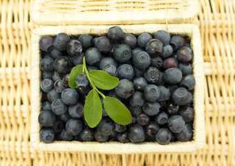 blueberries in wicker basket