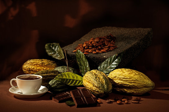 Still life of cacao (cocoa) with white cup.