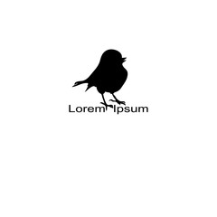 bird silhouette on white background, vector illustration