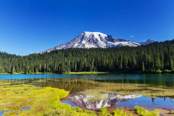 Fototapeta na wymiar Mt.Rainier