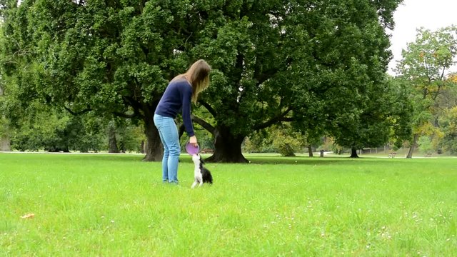 young attractive woman throws and catches frisbee - french bulldog bites it