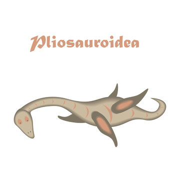 Jurassic reptile. Dinosaur vector illustration in modern flat disign. Pliosauroidea Isolated on white background. eps10