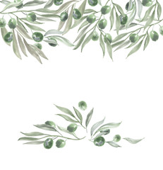 header template with olives and leaves. watercolor illustration