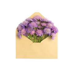 unusual flowers in the envelope