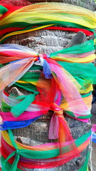 Fototapeta premium Big tree covered by powder and tied with multicolor fabrics, faith of thai people