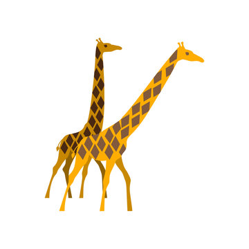 Illustration of giraffe.