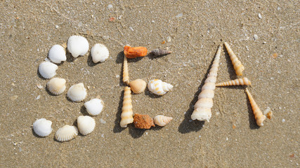 SEA word made of seashells on the sandy beach, Thailand