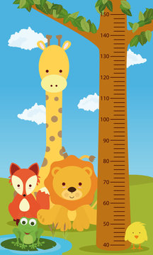 height chart animals