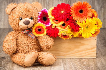 Beautiful flowers in the box and a teddy bear on wooden background