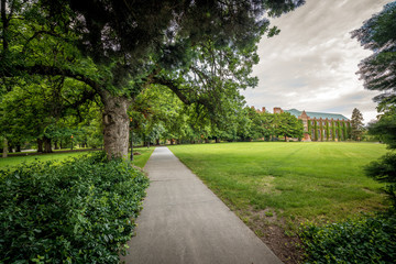 Beautiful park with tree and university administration building