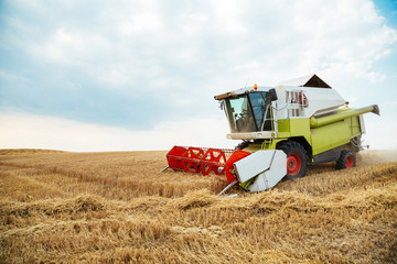 Combine harvester in action on wheat field