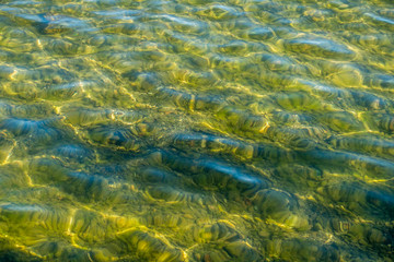 Green Water Patterns