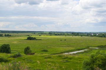Fototapeta na wymiar Summer landscape of green fields and cloudy sky. Rural scene.