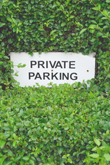 Privete parking sign covered in plants