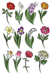 Collection of outlined flowers. 